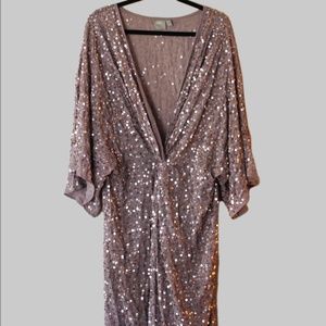 Sheer Sequin Dress